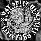 Discrusher / Hellexist / B.W.O.V - Split CD - Deathmutt Records